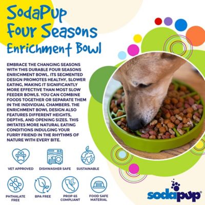 Image showing  Four Seasons Etray Shallow Slow Feeder