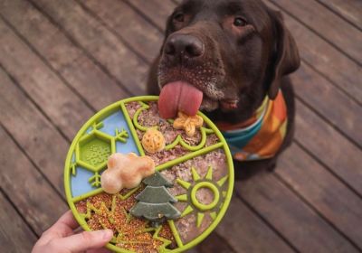 Image showing 5 th SodaPup Four Seasons Etray Shallow Slow Feeder