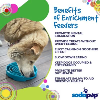 Image showing  Baja Etray Shallow Slow Feeder