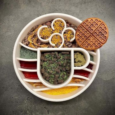 Image showing  Java Ebowl Slow Feeder Bowl