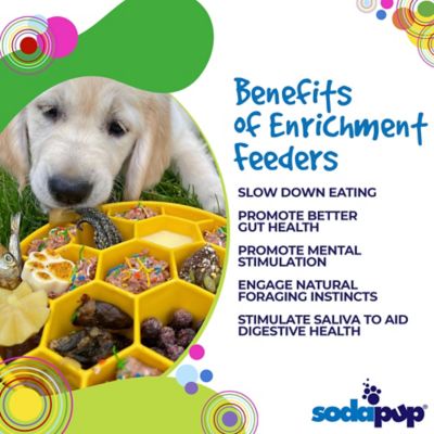 Image showing  Honeycomb Ebowl Slow Feeder Bowl