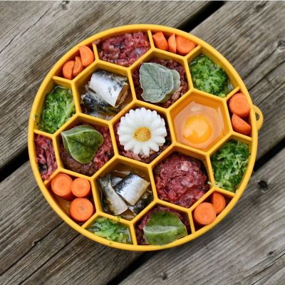 Image showing 5 th SodaPup Honeycomb Ebowl Slow Feeder Bowl