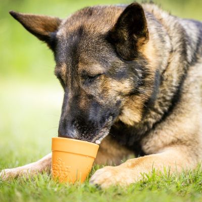 Image showing 5 th SodaPup Flower Pot Ecup Treat Dispenser