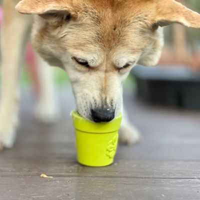 Image showing 5 th SodaPup Flower Pot Ecup Treat Dispenser