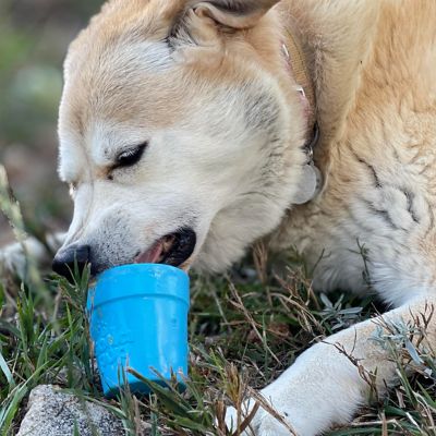 Image showing 3 th SodaPup Flower Pot Ecup Treat Dispenser