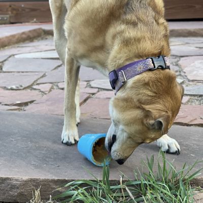 Image showing 5 th SodaPup Flower Pot Ecup Treat Dispenser