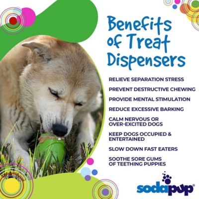 Image showing  Pup-X Gnome Treat Dispenser
