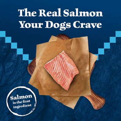 Image showing  Adult Large Breed High-Protein Salmon Recipe Dry Dog Food