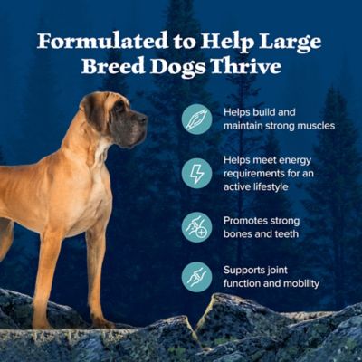 Image showing  Adult Large Breed High-Protein Salmon Recipe Dry Dog Food