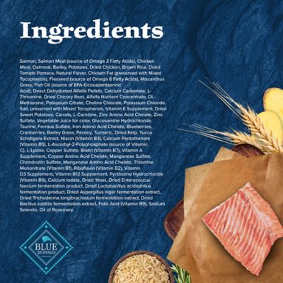 Image showing  Adult Large Breed High-Protein Salmon Recipe Dry Dog Food