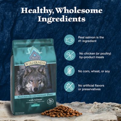 Image showing 5 th Blue Buffalo Wilderness Adult Large Breed High-Protein Salmon Recipe Dry Dog Food