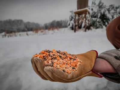 Image showing 6 th Domain Outdoor Pre-Game Premium Sweet Berry Pelleted Deer Feed, 40 lb. Bag