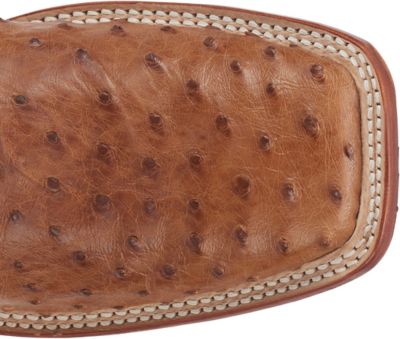 Image showing 2 th Justin Men's Truman 11 in. Full Quill Ostrich Western Boot