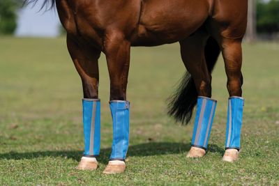 Image showing  Deluxe Fly Equine Boot