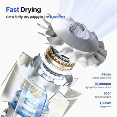 Image showing  F1 Pet Dryer