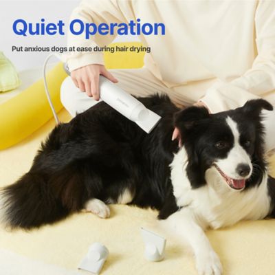 Image showing 7 th Neakasa F1 Pet Dryer