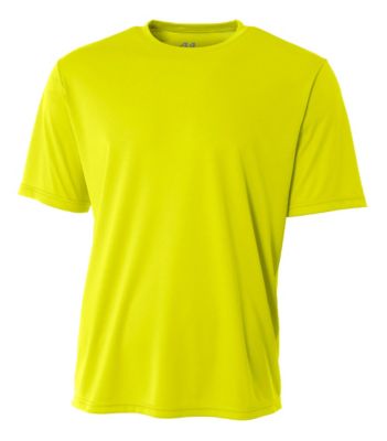 2481501 image