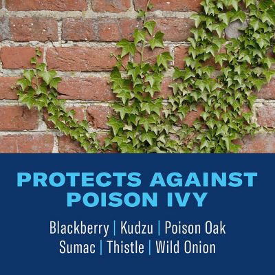 Image showing  Brush Killer Plus, Ready-to-Use, Kills Tough Brush Roots & All, Kills Poison Ivy, 24 oz.