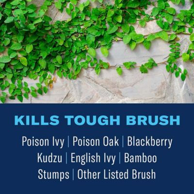 Image showing  Extended Control Brush Killer, Concentrate, 32 oz.