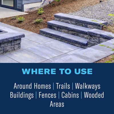 Image showing  Extended Control Brush Killer, Concentrate, 32 oz.