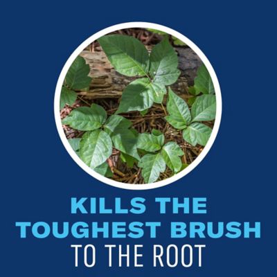 Image showing  Extended Control Brush Killer, Ready-to-Use 1 gal.