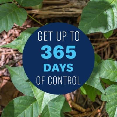 Image showing  Extended Control Brush Killer, Ready-to-Use 1 gal.