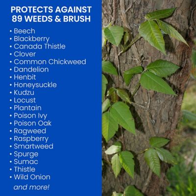 Image showing  Brush Killer Plus, Ready-to-Use, Kills Tough Brush Roots & All, Kills Poison Ivy, 1.3 gal.