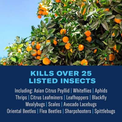 Image showing  Fruit & Citrus Tree, Concentrate, for Insects 32 oz.