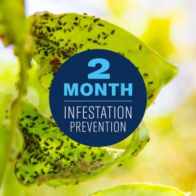 Image showing  Fruit & Citrus Tree, Concentrate, for Insects 32 oz.