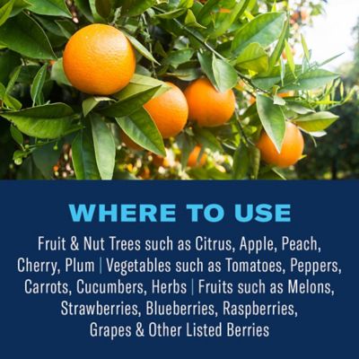 Image showing  Fruit & Citrus Tree, Concentrate, for Insects 32 oz.