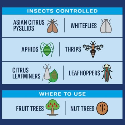 Image showing  Fruit & Citrus Tree, Concentrate, for Insects 32 oz.
