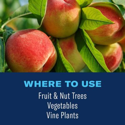 Image showing 5 th BioAdvanced 3-in-1 Fruit, Citrus & Nut Tree Spray Ready-To-Spray, 32 oz.