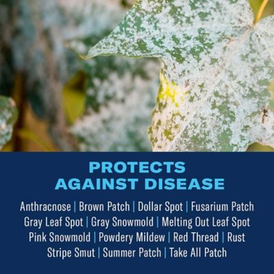 Image showing  Fungus Control for Lawns, Granules, 10 lbs.