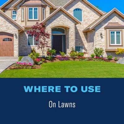 Image showing  Fungus Control for Lawns, Granules, 10 lbs.