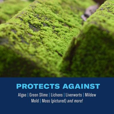 Image showing  2-in-1 Moss and Algae Killer and Cleaner for Lawns, 32 oz., Ready-to-Spray