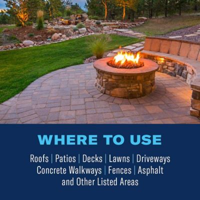 Image showing  2-in-1 Moss and Algae Killer and Cleaner for Lawns, 32 oz., Ready-to-Spray