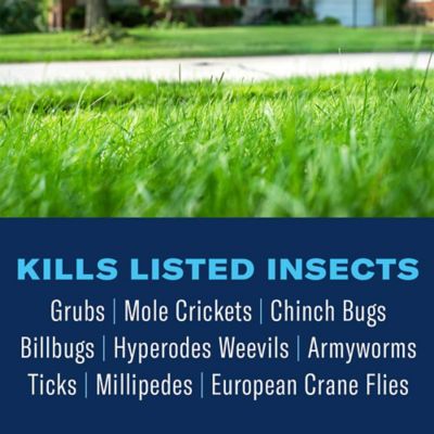 Image showing  Season Long Grub Control, Ready-to-Spread Granules, 10 lbs.