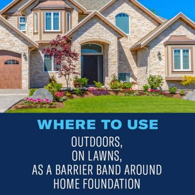 Image showing  Season Long Grub Control, Ready-to-Spread Granules, 10 lbs.