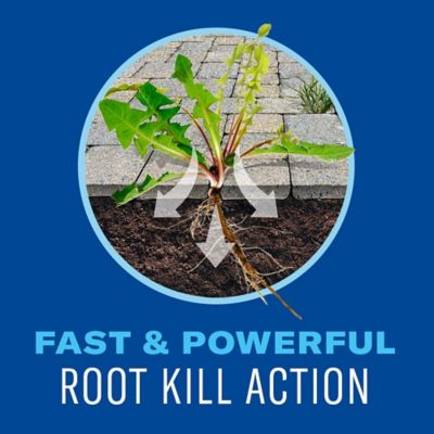 Image showing  Super Concentrate Weed And Grass Killer, 64 oz..