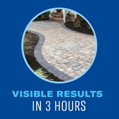 Image showing  Super Concentrate Weed And Grass Killer, 64 oz..