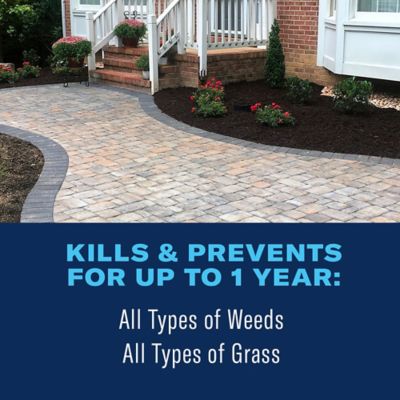 Image showing  365 Weed & Grass Killer, Ready-To-Use Power Sprayer, 1.3 gal.