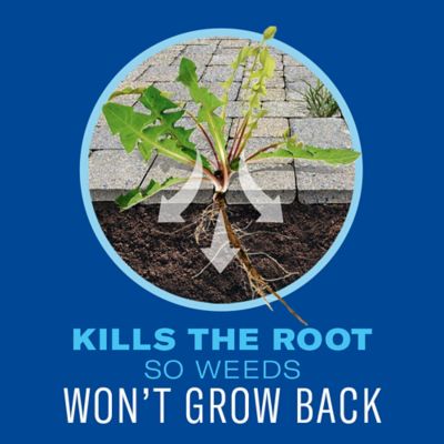 Image showing  365 Weed & Grass Killer, Ready-To-Use Power Sprayer, 1.3 gal.