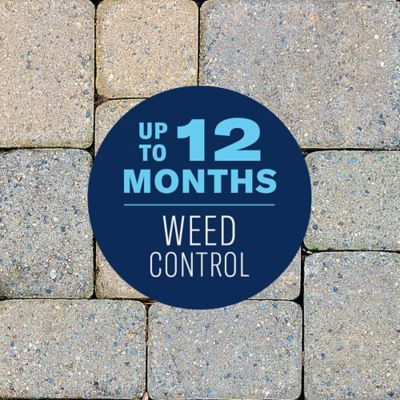 Image showing 5 th BioAdvanced 365 Weed & Grass Killer, Ready-To-Use Power Sprayer, 1.3 gal.