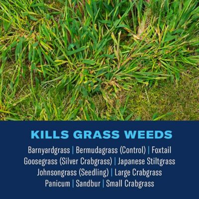Image showing  Extreme Crabgrass Killer, Ready-to-Spray, 32 oz.