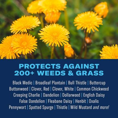 Image showing  Lawn Weed Killer, Concentrate, 32 oz.