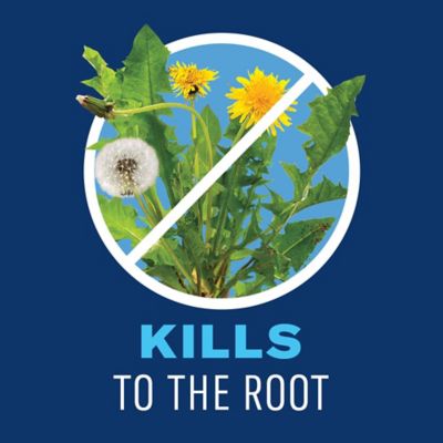 Image showing  Lawn Weed Killer, Concentrate, 32 oz.