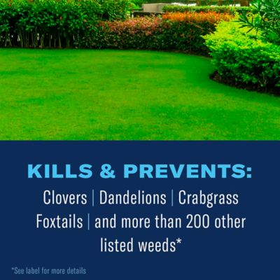 Image showing  Season Long Weed Killer Plus Preventer for Northern Lawns, Granules, 9.6 lbs.