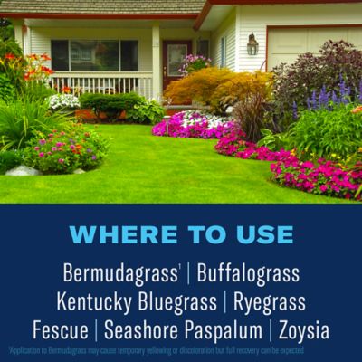 Image showing  Season Long Weed Killer Plus Preventer for Northern Lawns, Granules, 9.6 lbs.