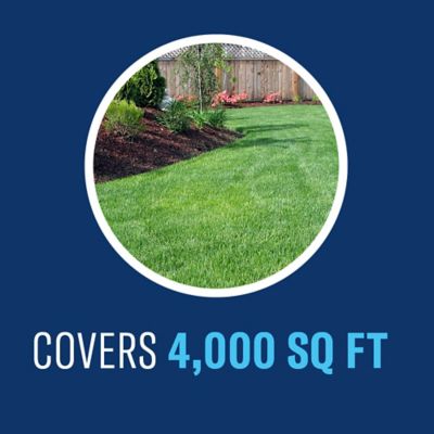 Image showing 5 th BioAdvanced Season Long Weed Killer Plus Preventer for Northern Lawns, Granules, 9.6 lbs.