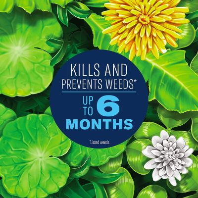 Image showing  Season Long Lawn Weed Killer & Preventer for Southern Lawns, Granules, 4,000 Sq Ft, 10 lbs.